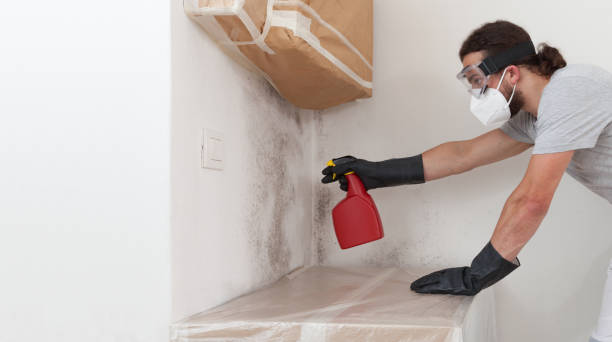 Professional Crawl Space Mold Remediation technician working in Quincy, MI