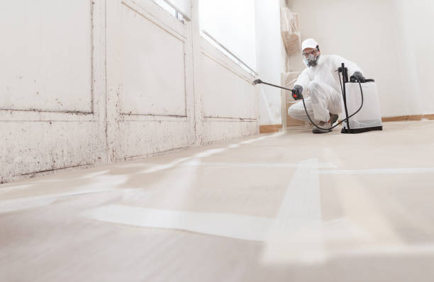 24/7 Emergency Crawl Space Mold Remediation experts in Quincy, MI